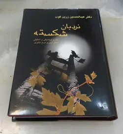 نردبان شکسته