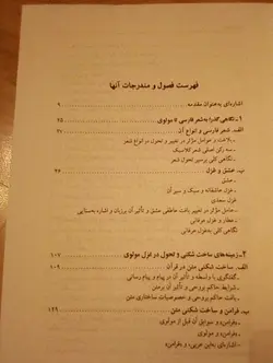 در سایه آفتاب؛ شعر فارسی و ساخت شکمی در شعر مولوی