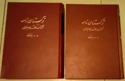 ترکستان نامه (2جلدی)
