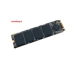 حافظه SSD لکسار مدل Lexar NM100 M.2 256GB - فروشگاه اینترنتی ندای موثق