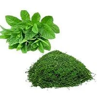 نعنا خشک 350 گرمی وحدت
