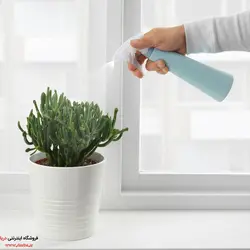 اسپری آب گل و گیاه ایکیا مدل TOMATرنگ فیروزه ایی روشن