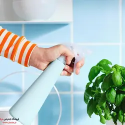 اسپری آب گل و گیاه ایکیا مدل TOMATرنگ فیروزه ایی روشن