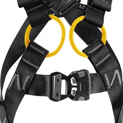 هارنس نیوتن پتزل