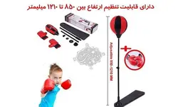 ست کیک بوکسینگ - فروشگاه اینترنتی دهکده استور