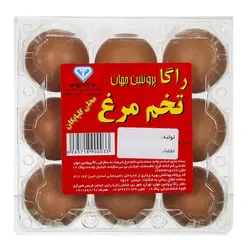 تخم مرغ محلی 9عددی کاسپین