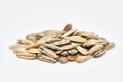 تخمه افتابگردان 250 گرمی