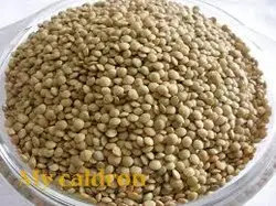 عدس تميزباسان