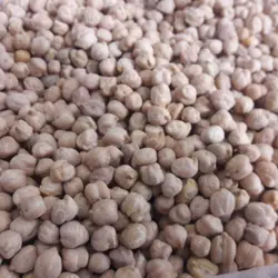 نخود اشپزخانه