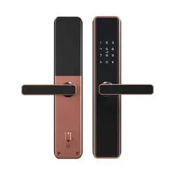 دستگیره درب هوشمند Homelock مدل E160 رزگلد