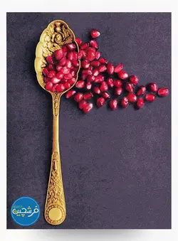 فرش ماشینی آشپزخانه طرح ۵۰۰۲