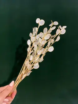 گل پولکی - گالری قاب