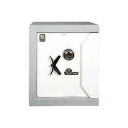 گاوصندوق کاوه سدید 620KR