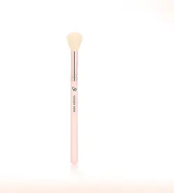 براش هایلایتر گلدن رز