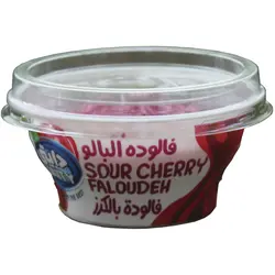 فالوده آلبالو دایتی
