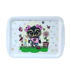 سینی کوچک زیبا3 - فروشگاه حاج خانی