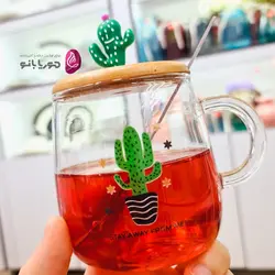 ماگ پیرکس کاکتوس