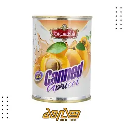 کمپوت زردآلو شاهسوند (۳۷۰ گرم)