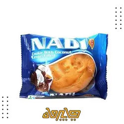 کلوچه نارگیلی نادی (۱۰۰ گرم)