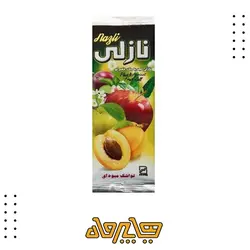 لواشک میوه ای نازلی (20گرم)