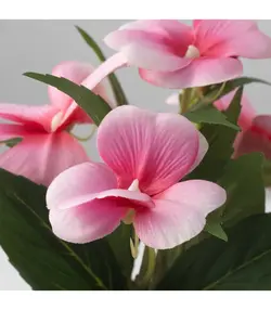 بوته گیاه مصنوعی آیکیا، مدل FEJKA، صورتی، 9 سانتی متر