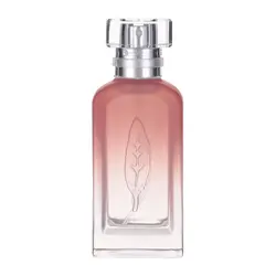 ادکلن اسپرت مینیسو چای سیاه Black Tea Glamour Eau de Parfum