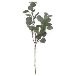 برگ آکالیپتوس ارتفاع 65 cm آیکیا مدل SMYCKA