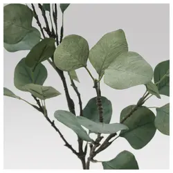 برگ آکالیپتوس ارتفاع 65 cm آیکیا مدل SMYCKA