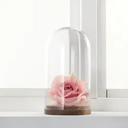 حباب شیشه ای پایه چوب آیکیا مدل HÄRLIGA