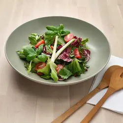 ظرف سرو آیکیا مدل FARGKLAR