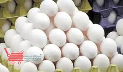 تخم مرغ