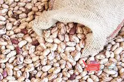 لوبیا چیتی اعلاء