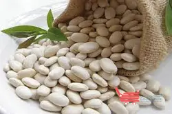 لوبیا سفید اعلاء