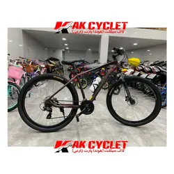 دوچرخه کوهستان کویر سایز 29 مدل 3417