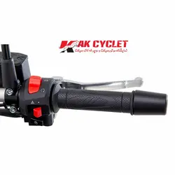 موتور سیکلت بنللی مدل TNT 25N