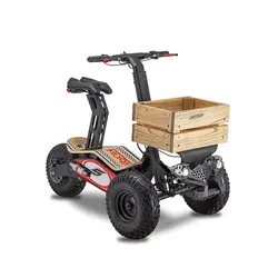 موتورسیکلت الکتریکی کویر مدل MAD Truck 1600