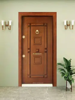 درب اکونومی ضدسرقت قهوه ای مدل 2002