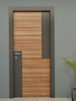 درب ضدسرقت مدرن قهوه ای و مشکی مدل D.MS.208