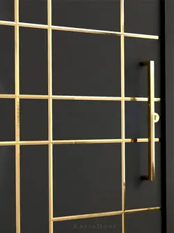 درب ضدسرقت لوکس مشکی با ابزار طلایی مدل L.S506