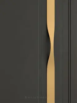 درب ضدسرقت لوکس مشکی با ابزار طلایی مدل L.S507