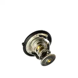 ترموستات هایما