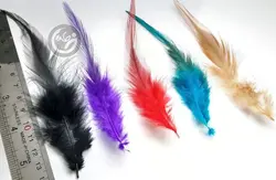 پر خروسی رنگ شده | بسته 5 عددی