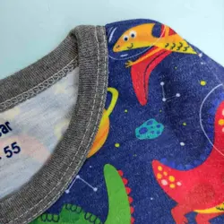 ست دایناسور فضانورد