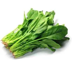 اسفناج پخته شده