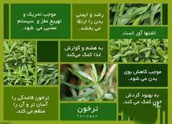 ترخون خشک
