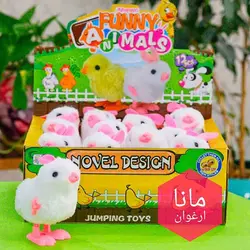 خرگوش کوکی