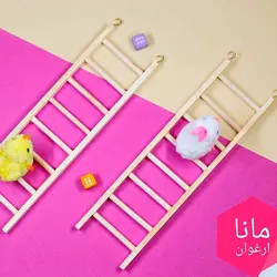نردبان پرندگان
