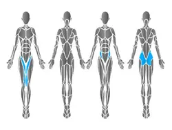 (HUR / Adduction / Abduction Rehab (5520 - فروشگاه آنلاین مطب چین