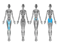 (HUR / Adduction/Abduction (3520 - فروشگاه آنلاین مطب چین