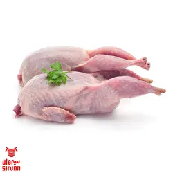 بلدرچین گرم